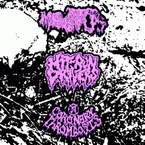 Meatus : Meatus - Hit-Run Drivers - Coronary Thrombosis